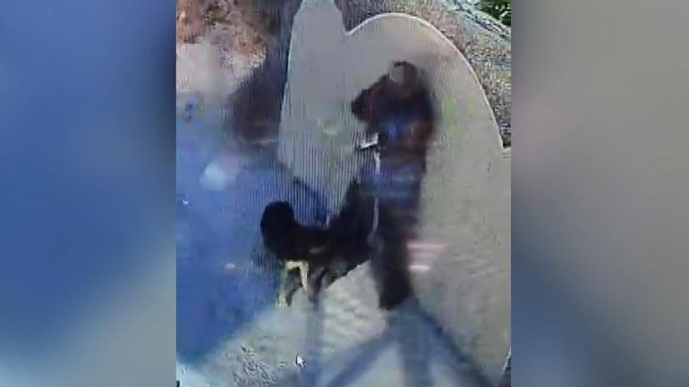 Filistin Dışişleri, Urif’teki camiye yapılan saldırının görüntülerini paylaştı