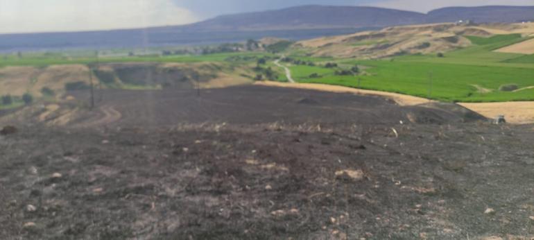 Batmanda 350 dönüm ekili buğday kül oldu