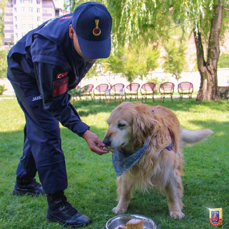 Uyuşturucu Madde Arama Köpeği Altın, emekli oldu