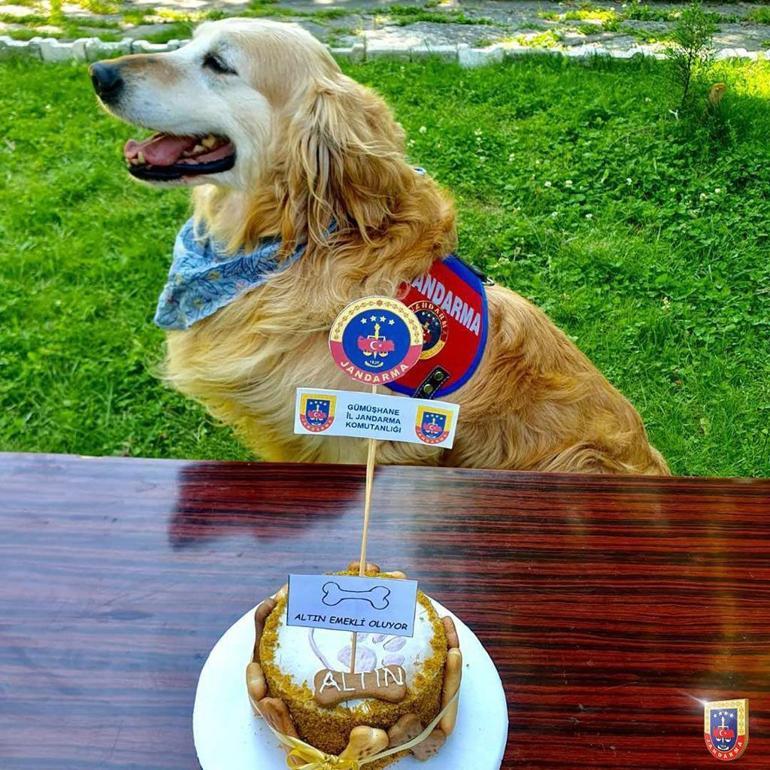 Uyuşturucu Madde Arama Köpeği Altın, emekli oldu