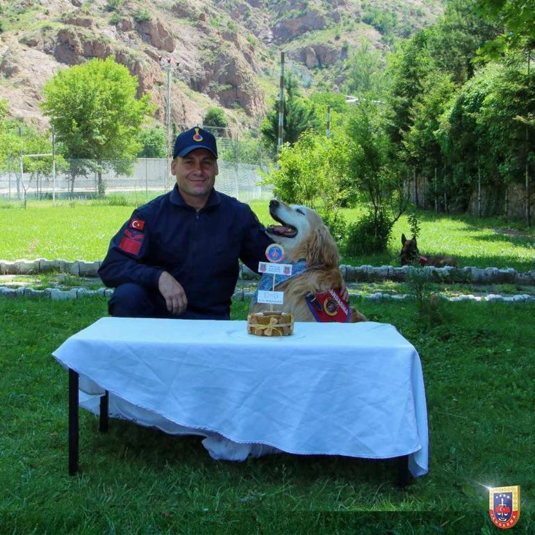 Uyuşturucu Madde Arama Köpeği Altın, emekli oldu