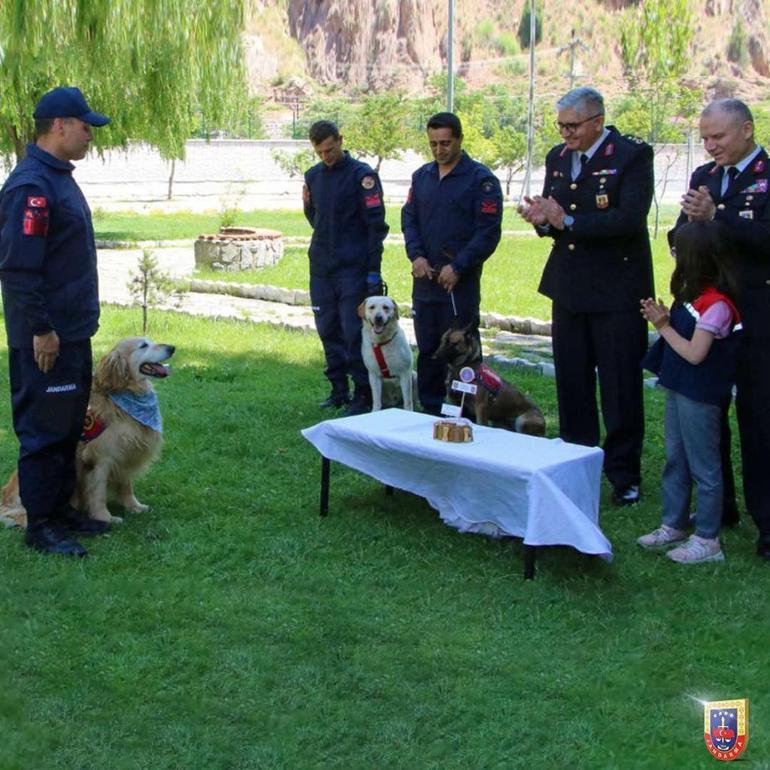 Uyuşturucu Madde Arama Köpeği Altın, emekli oldu