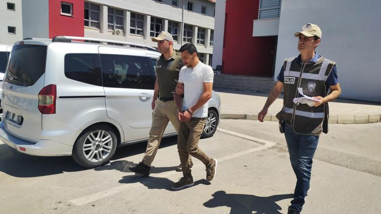 Koyunu bayıltana kadar döven, kasap çıktı