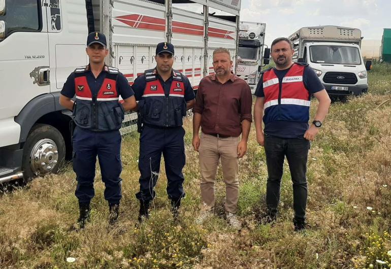 Çalıştığı çiftlikteki 28 büyükbaşı çalıp sattı