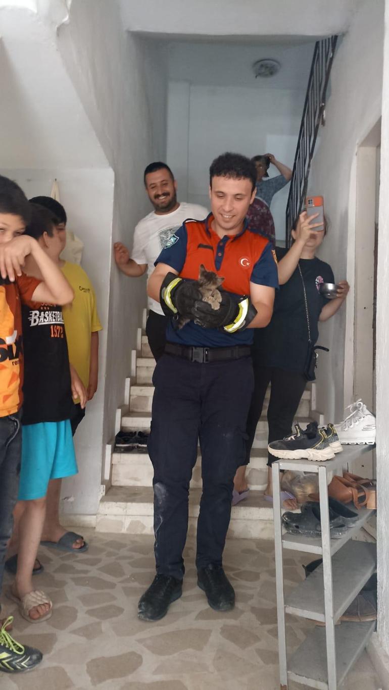 Mahsur kalan yavru kedi ve 4 yavru baykuşu itfaiye kurtardı