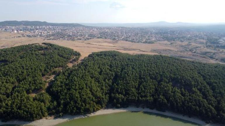 Edirnede ormanlara girişler 15 Ekime kadar yasaklandı