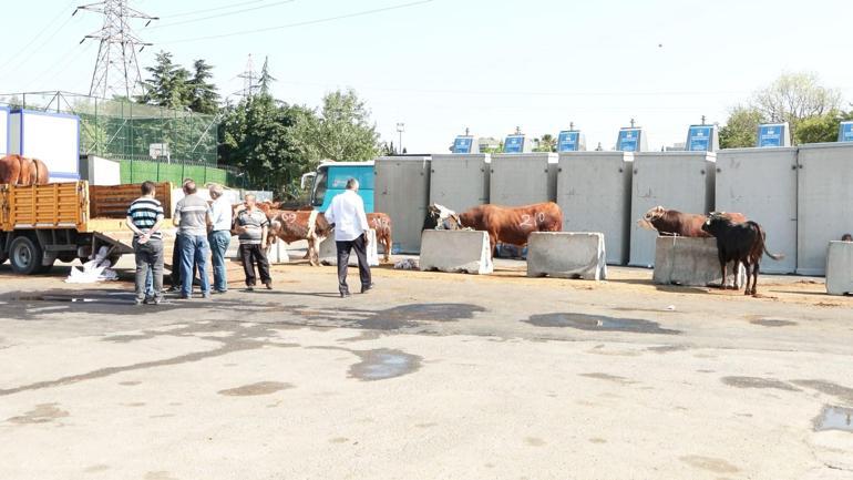 İl Tarım Ve Orman Müdürü Karacadan kurban kesenlere uyarı