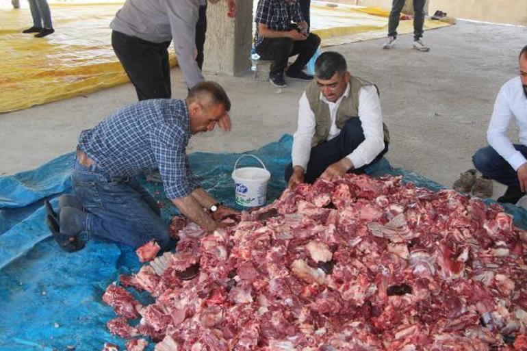 3 asırlık gelenekle, 1,5 ton eti, her aileye eşit dağıttılar