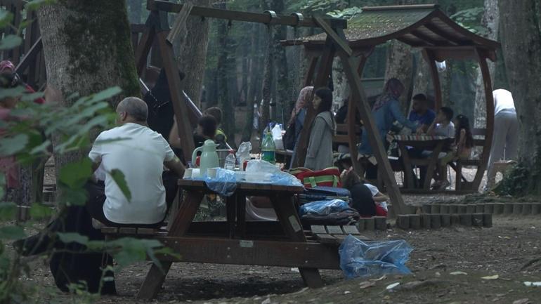 İstanbulda kalanlar piknik alanlarına akın etti