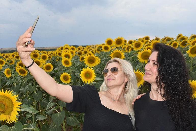 Prof.Dr. Kaya: Ülke olarak oleik tipi yani zeytinyağı kalitesinde ayçiçeğine dönmeliyiz