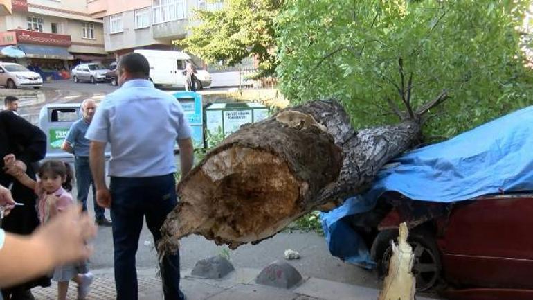 Esenler’de ceviz ağacı 2 otomobilin üzerine devrildi