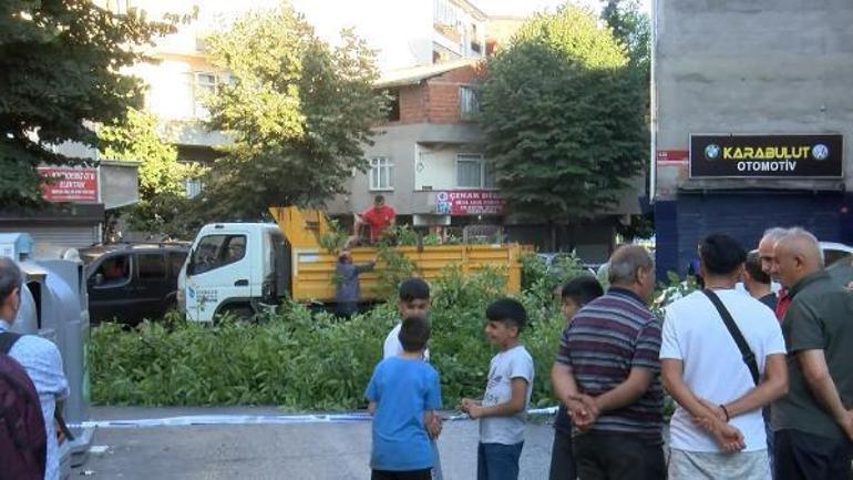 Esenler’de ceviz ağacı 2 otomobilin üzerine devrildi