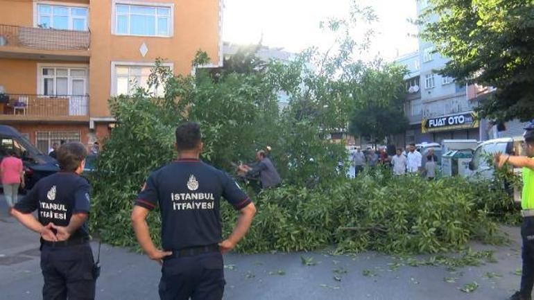 Esenler’de ceviz ağacı 2 otomobilin üzerine devrildi