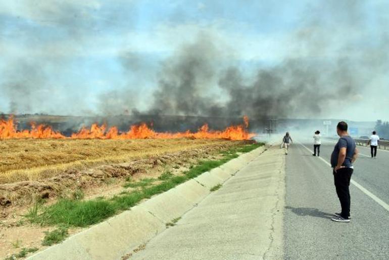 Edirnede 250 dönüm buğday tarlası yandı