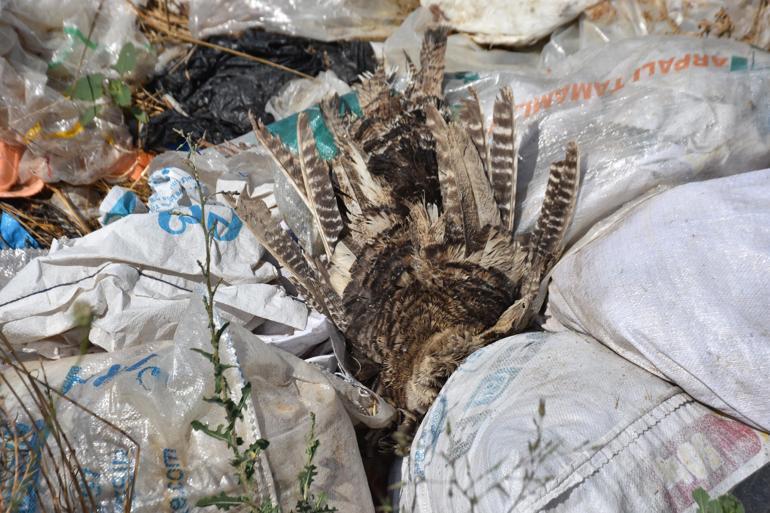 İzmir’in içme suyunu karşılayan baraj yakınına dökülen çöp ve moloza tepki