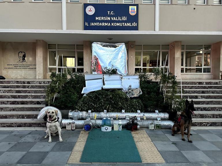 Bahçesine iklimlendirme sistemi kurup, uyuşturucu üreten şüpheli yakalandı