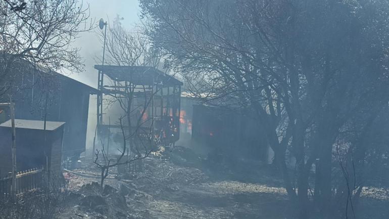 Bodrumda çıkan yangın, tiny houselara sıçradı