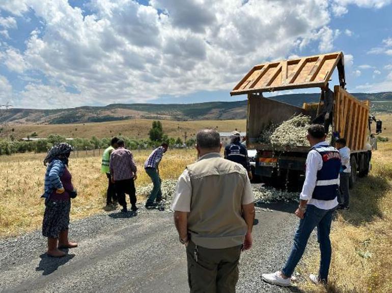 Elazığda izinsiz pamuk dikeni toplayan kamu görevlisine 244 bin lira ceza