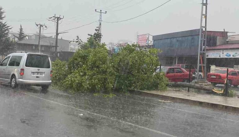 Giresun’da sağanak; dere taştı, evleri su bastı