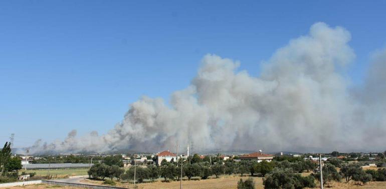 İzmirdeki yangında yaralanan orman işçisi hayatını kaybetti