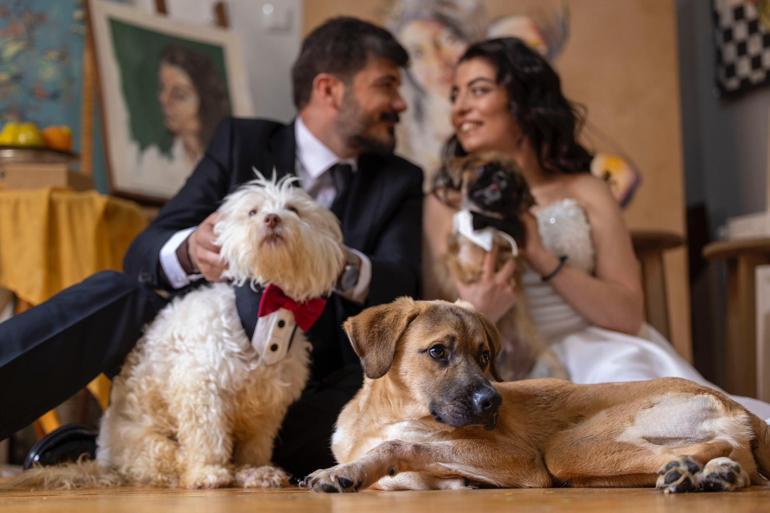 Felçli köpeğe yürüteç yaparken tanışıp evlenen çift, nikah öncesi sokak hayvanlarını besledi