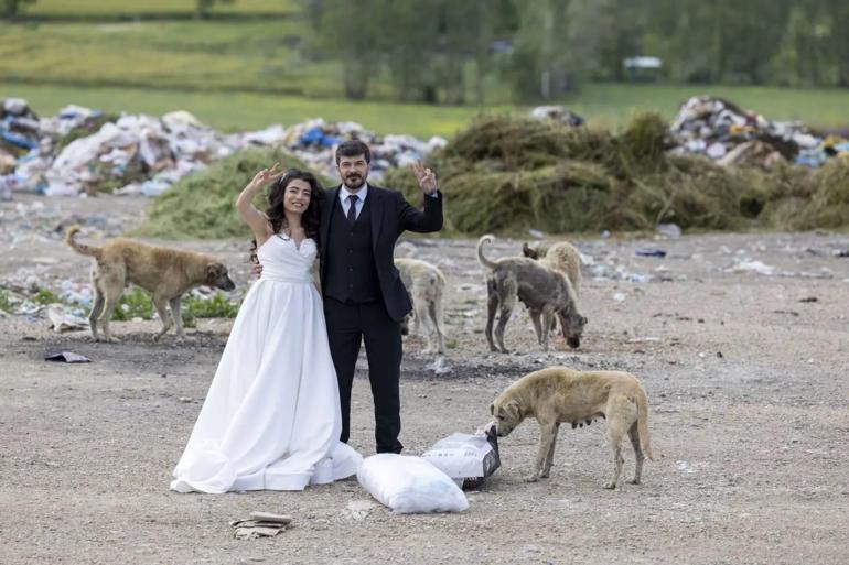 Felçli köpeğe yürüteç yaparken tanışıp evlenen çift, nikah öncesi sokak hayvanlarını besledi