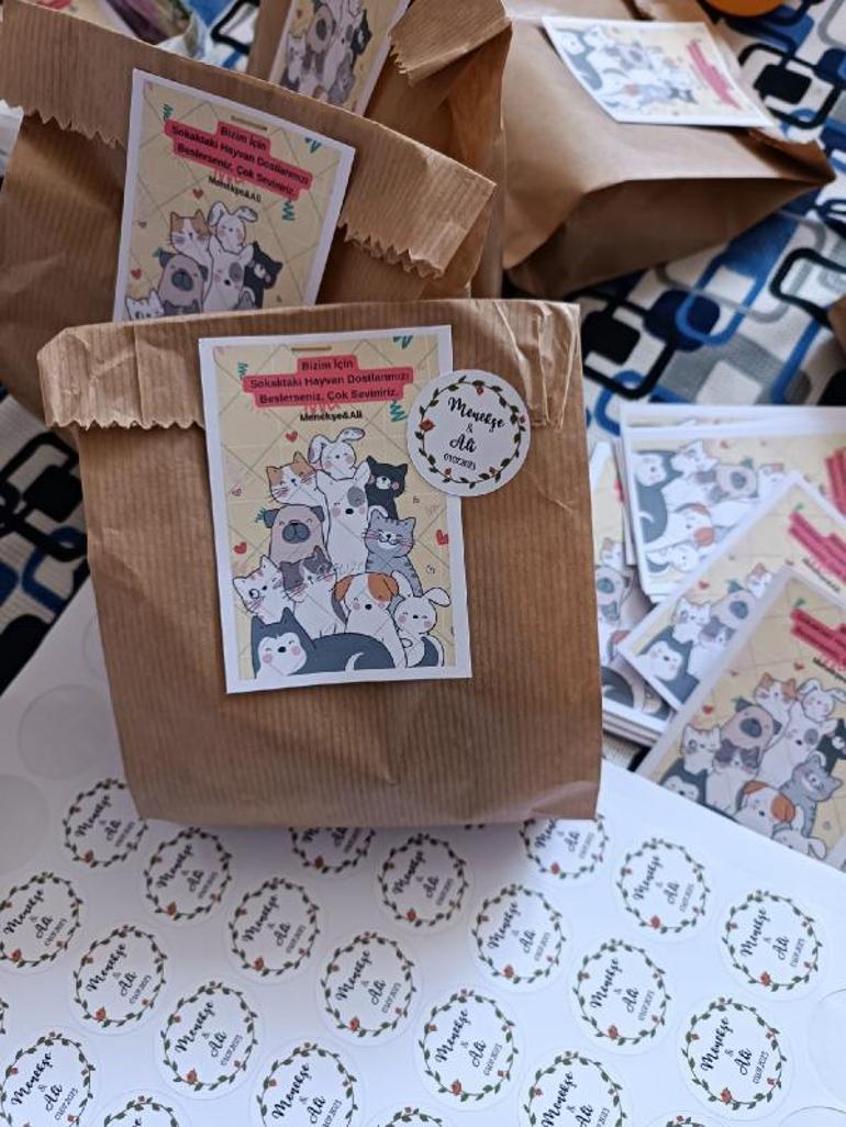 Felçli köpeğe yürüteç yaparken tanışıp evlenen çift, nikah öncesi sokak hayvanlarını besledi