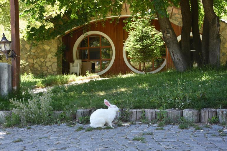 ABDli film şirketinden Sivasa Hobbit ambargosu