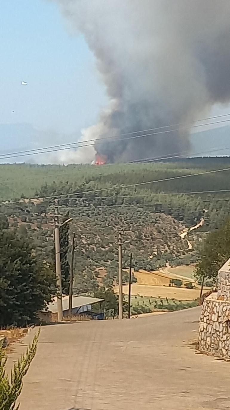 Milasta makilik yangını, ormana sıçradı