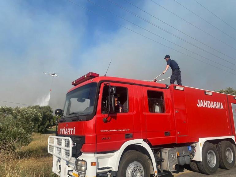 Milasta makilik yangını, ormana sıçradı