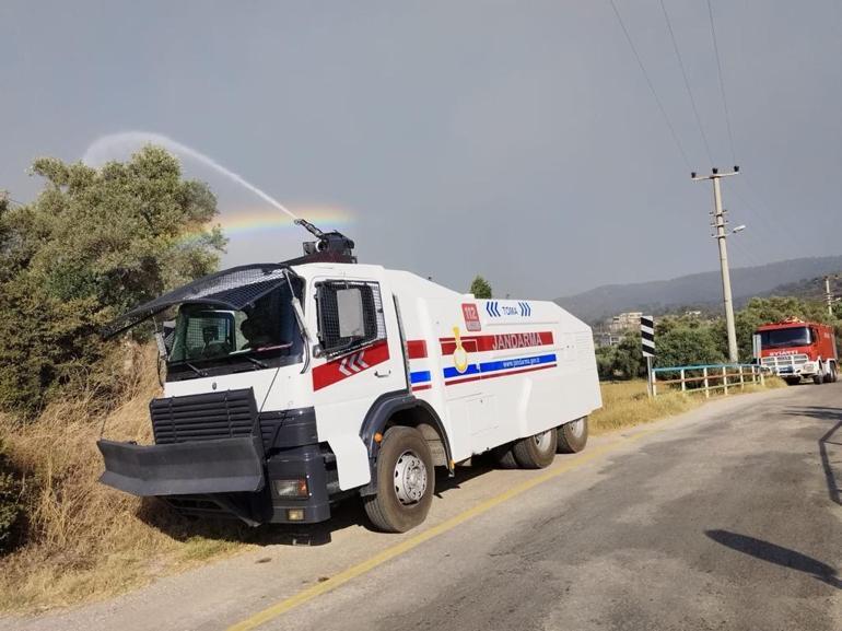 Milasta makilik yangını, ormana sıçradı