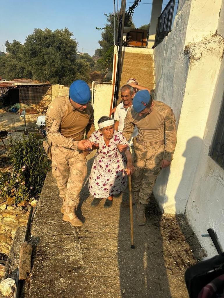 Milasta makilik yangını, ormana sıçradı