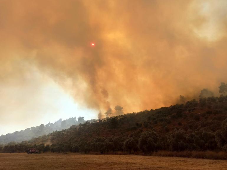 Milasta 160 hektar alanın küle döndüğü yangın, sigara izmaritinden çıkmış