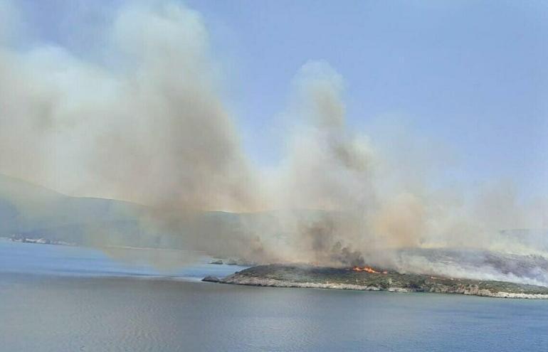 Makilik yangını mangal ateşinden çıkmış; şüpheliler adli kontrolle serbest