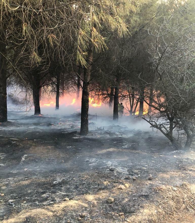 Gökçeadadaki orman yangını, 16,5 saat sonra kontrol altında
