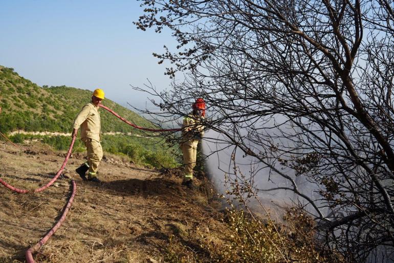 Osmaniyedeki yangında 400 dönüm orman yandı