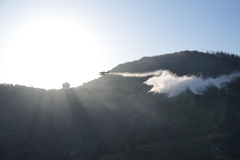 Osmaniyedeki yangında 400 dönüm orman yandı