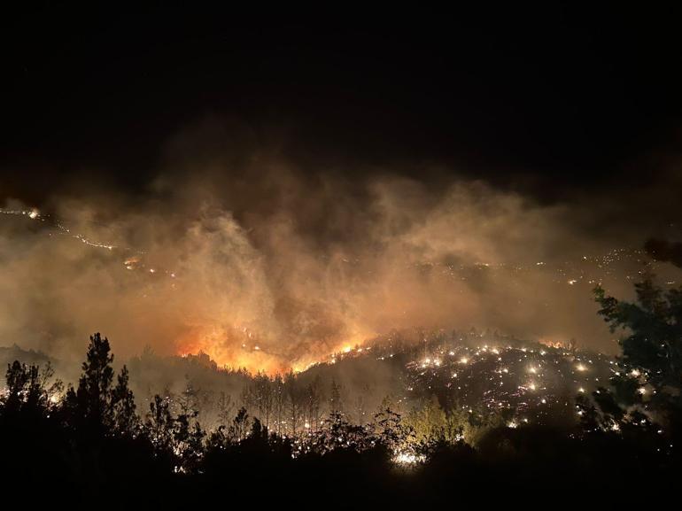 Mersinde orman yangını