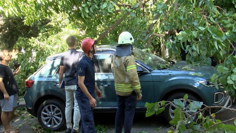 Beşiktaşta ağacın bir kısmı otomobilin üstüne devrildi