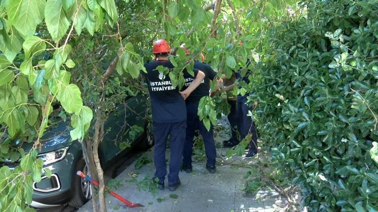 Beşiktaşta ağacın bir kısmı otomobilin üstüne devrildi