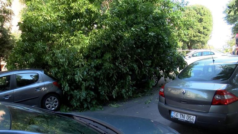 Beşiktaşta ağacın bir kısmı otomobilin üstüne devrildi