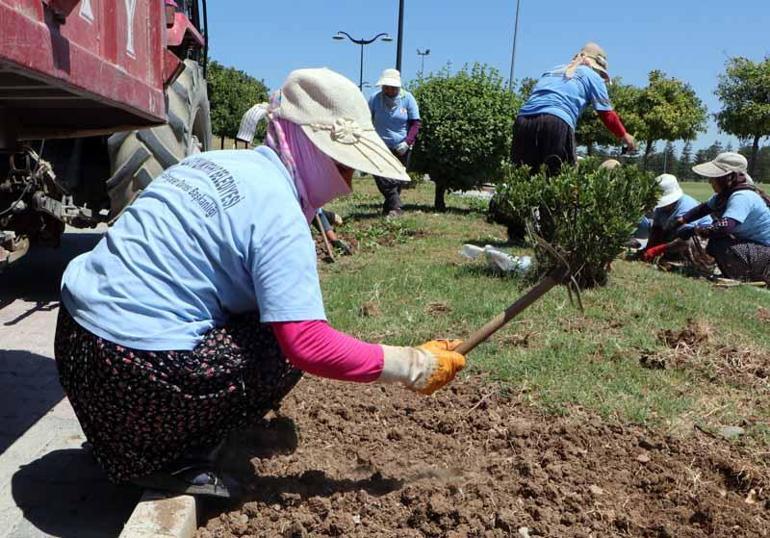 Kadın peyzaj işçilerinin 50 derece sıcaklıkta zorlu mesaisi