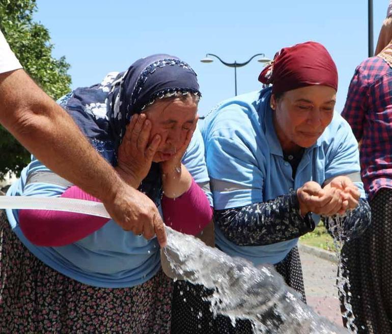 Kadın peyzaj işçilerinin 50 derece sıcaklıkta zorlu mesaisi