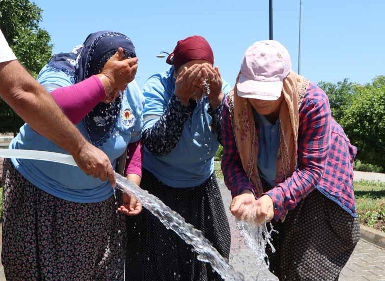 Kadın peyzaj işçilerinin 50 derece sıcaklıkta zorlu mesaisi