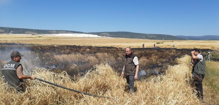 Eskişehir’de 30 dönüm arpa tarlası yandı