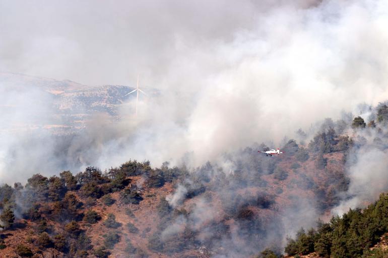 Gaziantepte orman yangını