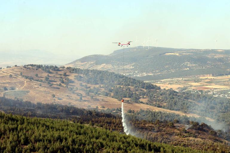 Gaziantepte orman yangını