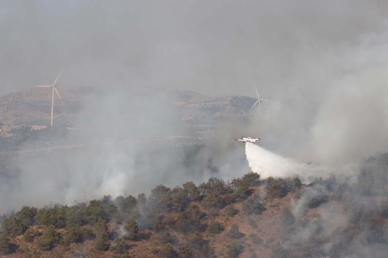 Gaziantepte orman yangını