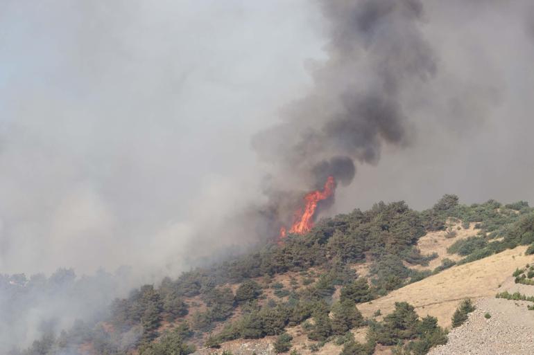 Gaziantepte orman yangını