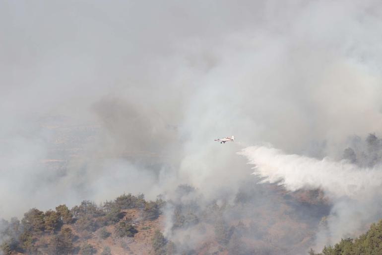Gaziantepte orman yangını